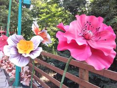 -西双版纳原始森林公园