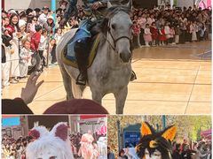 -海合安武汉极地海洋公园