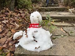 -杭州半山国家森林公园