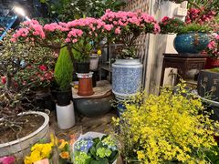 -双季花艺园艺市场(浦东店)