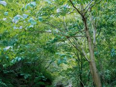 -孤山寨风景区