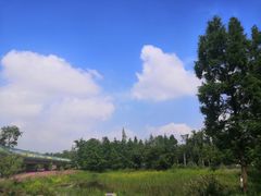 -白鹭湾湿地公园