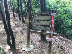 -火炉山森林公园