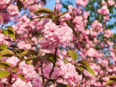 -江苏三台山国家森林公园