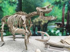 -中国地质大学逸夫博物馆