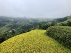 -龙脊梯田