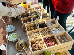 -妙应寺白塔