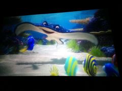 -万达影城(锦华万达广场IMAX店)