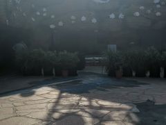 -瑞德姆美人鱼海底演艺主题餐厅(亚龙湾店)