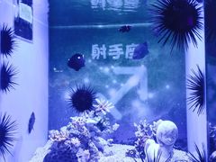 -上海海昌海洋公园