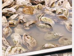 生蚝扇贝-季上烤肉·海鲜·火锅自助(大山洞店)