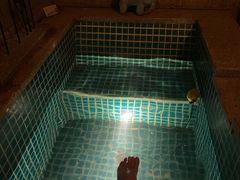 -春晖园度假酒店温泉