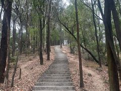 -滴水岩森林公园