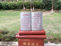 -胡里山炮台
