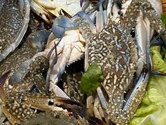 -天骄国际酒店·布拉格西餐厅(白石湖店)