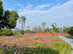 -春花秋色城市公园