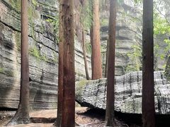 -梭布垭石林景区