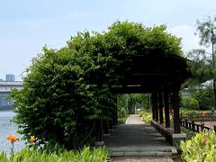 -厦门园林博览苑