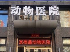 -宠福鑫动物医院(立水桥分院)