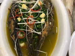 -椿记烧鹅(叠彩店)