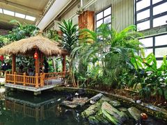 -南宫五洲植物乐园