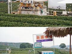 -龙坞茶村