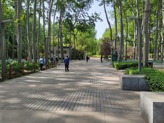 -仁和公园(顺义区)