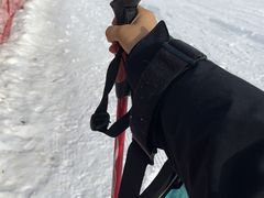 -蓟县盘山滑雪场