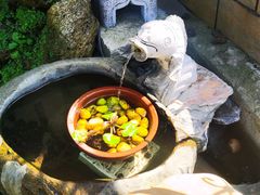 -天正河鲀·河豚亭(大连店)