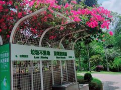 -阳台山森林公园