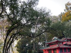 -永安龟山公园