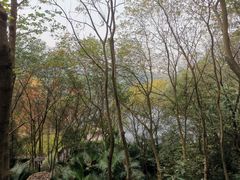 -重庆彩云湖湿地公园