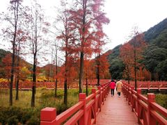 -广州市石门国家森林公园