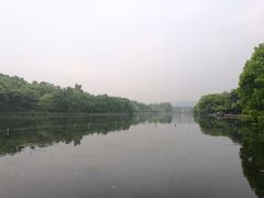 -西湖外事游船(湖滨二公园外事游船码头)