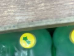 -波记美食店·现捞海鲜