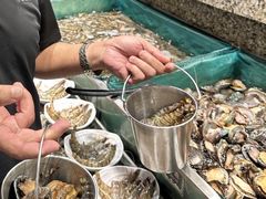 -初色海鲜自助(万丰路店)