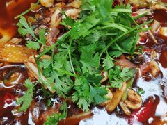 -小杨翘脚牛肉