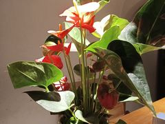 -雲說·花(西宸天街店)
