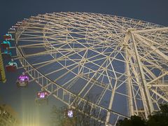 -弘阳·未来世界(弘阳广场店)
