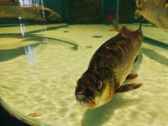 -许家菜.艺创菜(仁和新城店)