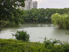 -皇粮浜湿地公园