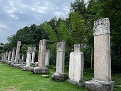 -徐州龟山景区