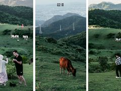 -大姆山草场