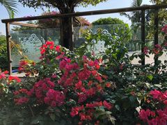 -沙河粉村·国家非遗传承(云台店)