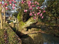 -古堰画乡景区