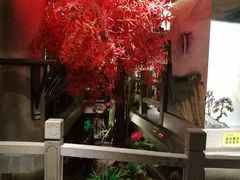 -蓉城老妈火锅(双林路店)