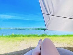 -春花秋色城市公园