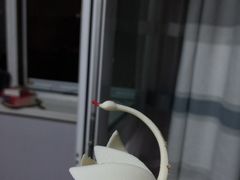 -BLACKSWAN黑天鹅(环球店)