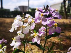 -中关村生命科学园