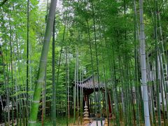 -绳金塔